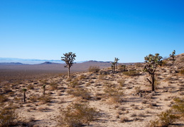 IMG 1446