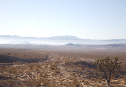 IMG 1450