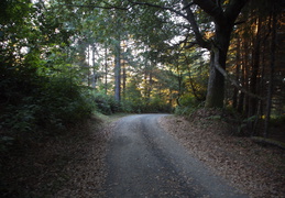 IMG 5487