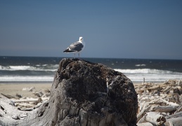 IMG 6278-Version-2